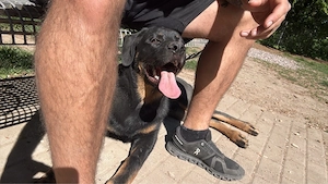 Hallo mein name ist Sam 