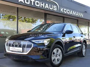 Audi e-tron 55 quattro*ACC*El.Heck*Virtual*19*Luft