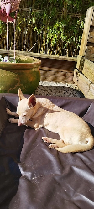 Wo ist mein Herzensmensch? Bild 3