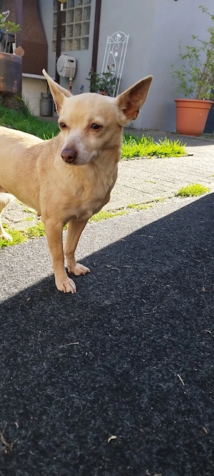Wo ist mein Herzensmensch? Bild 5