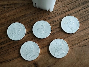 25x Krügerrand Silber 1 oz unze 999 Silbermünze 2019 Südafrika Ganze Tube - Neu Bild 2
