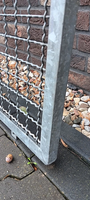 XXL Voliere. Volieren Elemente für Papageien   Sittiche. 20 Elemente a 1x2Meter. VB