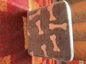 HUNDE Treppe Mit Motiv -EXTRA Tiefe & Breite Stufen- *NEU* Bild 7