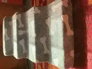 HUNDE Treppe Mit Motiv -EXTRA Tiefe & Breite Stufen- *NEU* Bild 9