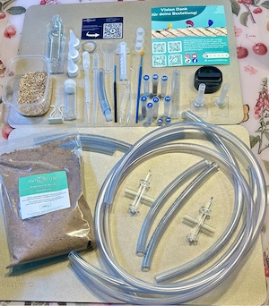 Ameisen Formicarium Bild 4