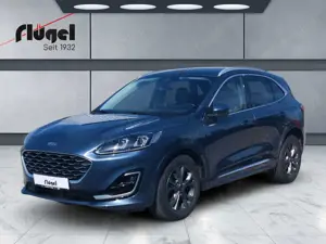 Ford Kuga Vignale 4x4/Autom/LED uvm.