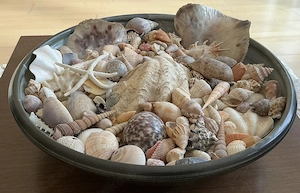 Große, flache Deko-Schale mit selbst gesammelten Muscheln