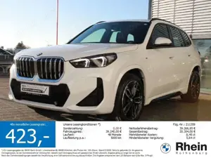 BMW X1 sDrive20i M Sportpaket Navi LED 19 Zoll Kamer
