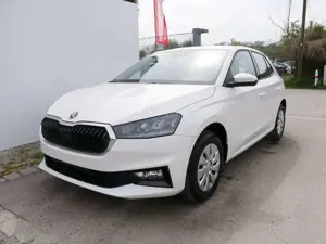 Skoda Fabia Selection 1.0 TSI *LED*PDC-HI*SMARTLINK*SHZ*BLU...