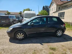 Peugeot 307 Grand Filou Cool HDI FAP 110