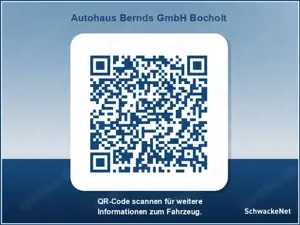 Renault Trafic Blue dCi 150 Grand AUTOMATIK Evolution NAVIGATION