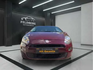 Fiat Punto More