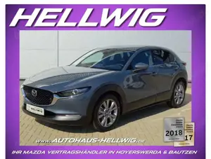 Mazda CX-30 2.5l (140PS) Exclusive Bose Matrix-LED 360° Kamera