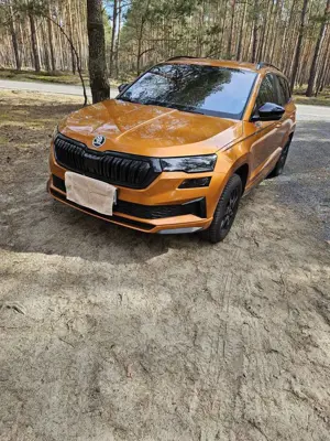 Skoda Karoq 2.0 TDI SCR 4x4 DSG Sportline