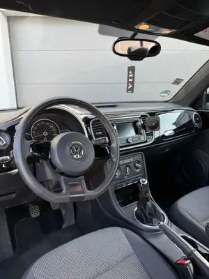 Volkswagen Beetle Bild 3