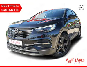 Opel Grandland X 1.2 LED Totwinkel Kamera AHK DAB PDC