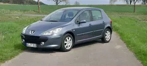 Peugeot 307 307 110 Tendance