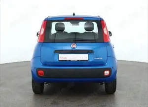 Fiat New Panda Pandina 1.0 mHEV App Connect PDC klima Bild 4