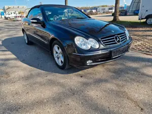 Mercedes-Benz CLK 320 AVANTGARDE/Xenon/Leder/Navi