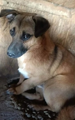 Floyd sucht ein Zuhause für immer