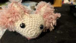 Zucht Axolotl