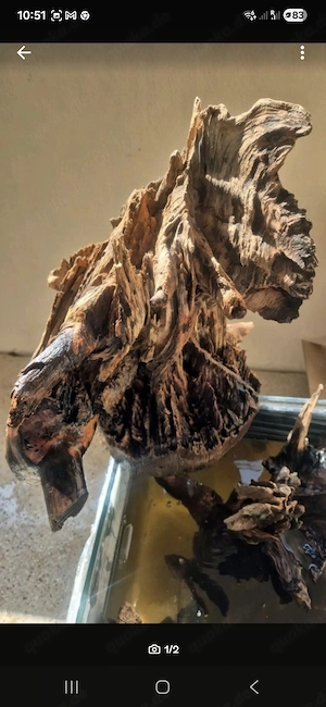 Ich verkaufe ein Wurzel für Aquarium