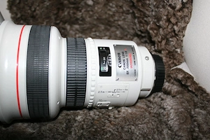 Canon Lens EF 200mm 1_8L ultrasonic