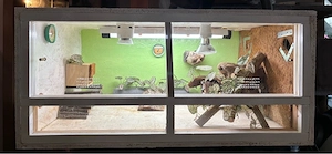 2 Osb Terrarien mit Zubehör und Beleuchtung
