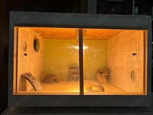2 Osb Terrarien mit Zubehör und Beleuchtung Bild 3