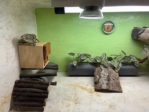 2 Osb Terrarien mit Zubehör und Beleuchtung Bild 4