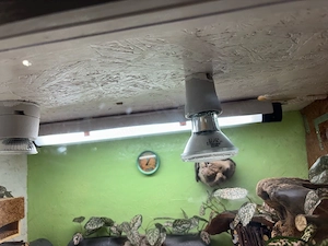 2 Osb Terrarien mit Zubehör und Beleuchtung Bild 2