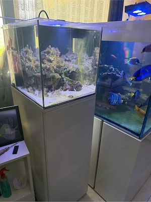 meerwasser aquarium komplett aqua medic 90l