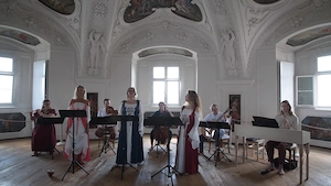 Freiberuflicher Agent für außergewöhnliche Musikformation gesucht