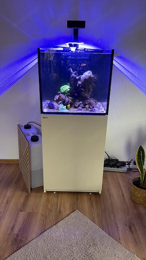 Red sea Reefer 200 G2 Meerwasser Aquarium