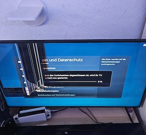 Samsung 43 Zoll Fernseher (Defekt)