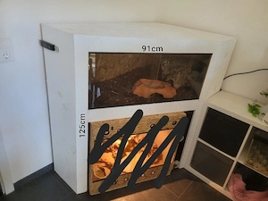 Terrarium zu verkaufen
