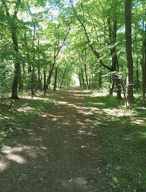 Schöne Zeit zu zweit  Bild 2