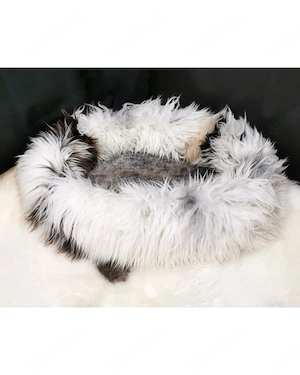 Anti-Stress Haustierbett aus echtem Lammfell   Kuschelkomfort für Hund & Katze