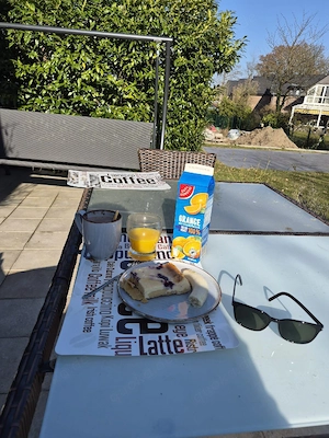 Suche Arbeit als Gartenbauhelfer oder Grillmaster für Partys oder Umzugshilfe Bild 4