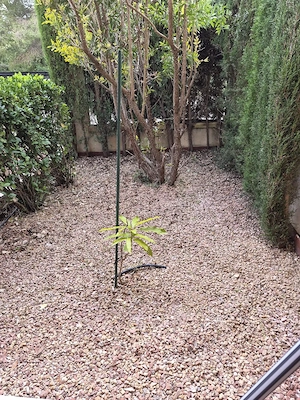 Suche Arbeit als Gartenbauhelfer oder Grillmaster für Partys oder Umzugshilfe Bild 5