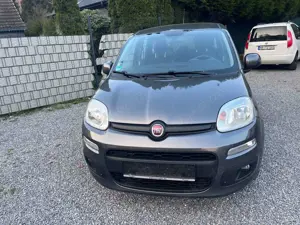 Fiat Panda Lounge