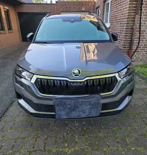 Skoda Karoq 2.0 TDI SCR 4x4 DSG Tour