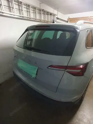 Skoda Karoq Sondermodel Fresh