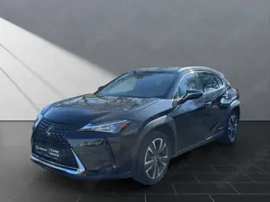 Lexus UX 250h 250h Style  SHZ Kamera Alu