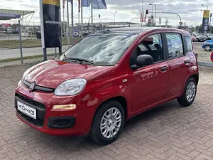 Fiat Panda MY25 1.0 Klima PDC Citypaket