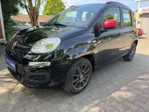 Fiat Panda Panda/Pandina 1.2 Mystyle, Scheckheftgepflegt. Bild 2