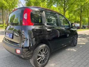 Fiat Panda Panda/Pandina 1.2 Mystyle, Scheckheftgepflegt. Bild 4