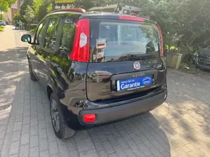 Fiat Panda Panda/Pandina 1.2 Mystyle, Scheckheftgepflegt. Bild 5