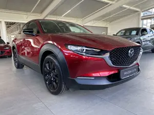 Mazda CX-30 2.5 Homura AUTOMATIK SHZ, PDC, Kamera, Navi, 18"