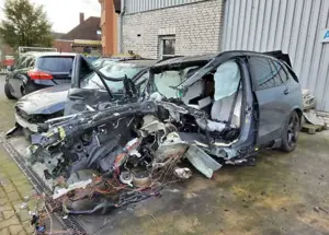 BMW X5 50 e xDrive M Sport TOTALSCHADEN